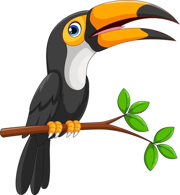 Parrot Registry